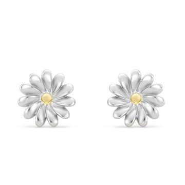 Transvaal Daisy Earrings in Precious Metal